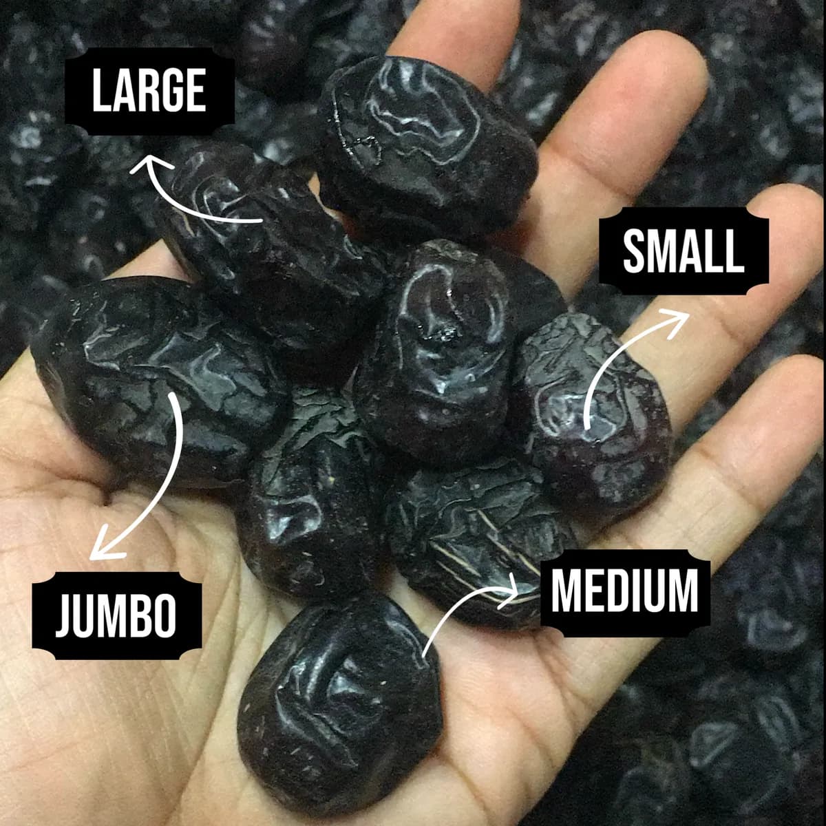 Kurma Ajwa Madinah dalam pelbagai saiz