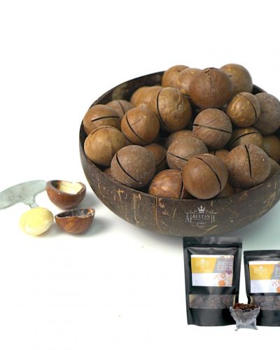 Macadamia nut in shell