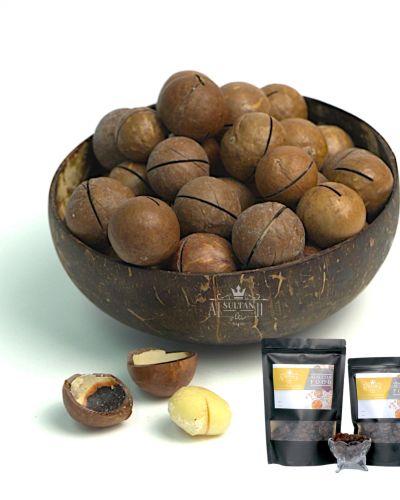 Macadamia nut in shell
