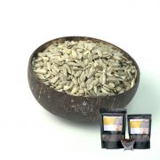Sunflower seeds kernels